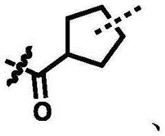 Figure BDA0002964098100000564