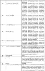 Figure BDA0001615229930000901