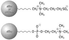 Figure 112015125553034-pat00002