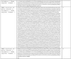 Figure imgf000060_0001