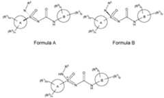 Figure imgf000016_0004