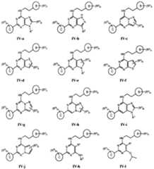 Figure 0007232244001037