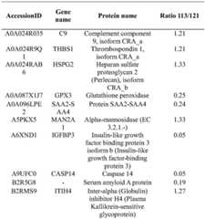 Figure BDA0002480488700000061