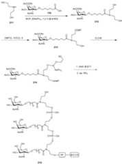 Figure 112016114379466-pct00302