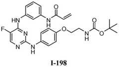 Figure BDA0001453135130002161