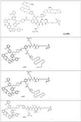 Figure imgf000057_0001