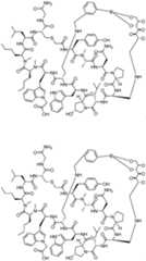 Figure imgf000014_0001