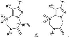 Figure BDA0002911816760000563