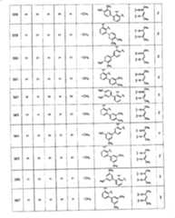 Figure A20081018956901131