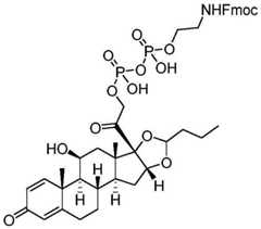 Figure BDA0002889616220003342