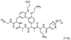 Figure imgf000065_0002