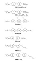 Figure 2024079817000104