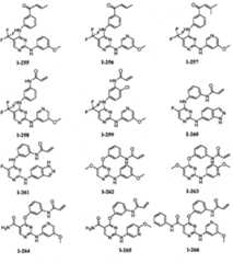 Figure BPA00001280125600741