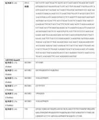 Figure 0007483732000068