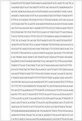 Figure GDA0002731146240002321