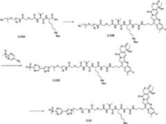 Figure PCTCN2022073822-appb-000560