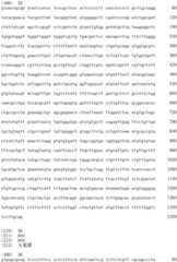 Figure IDA0002728416920000261