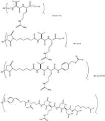 Figure imgf000053_0001