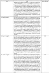 Figure imgf000251_0001