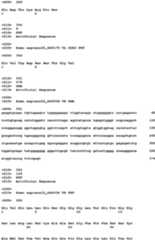 Figure imgb0126
