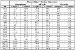 Figure imgf000250_0001