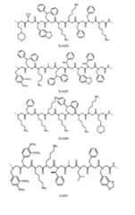 Figure imgf000016_0001