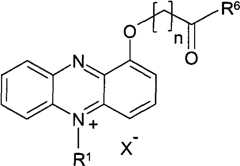 Figure BPA00001263293900351