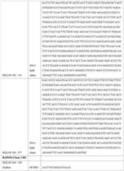 Figure imgf000081_0001