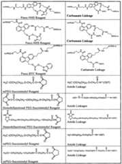 Figure imgf000047_0001
