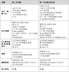 Figure BDA0003146893130002801