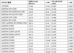 Figure GDA0004138988600001723