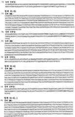 Figure 112008046186434-PCT00020