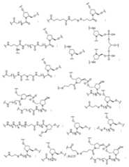 Figure 2023012548000112