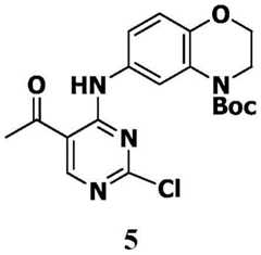 Figure BDA0001453135130001931