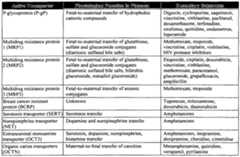 Figure imgf000020_0001