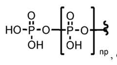 Figure imgf000061_0004