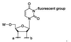 Figure imgf000058_0002