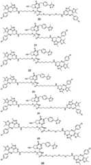 Figure FDA0003786394080000051