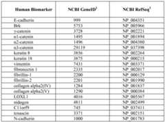 Figure imgf000034_0001