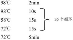 Figure BDA0003686236190000102