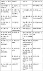 Figure BDA0002951888040000381