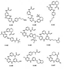 Figure BPA00001280125600631