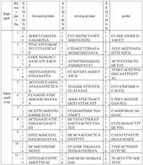 Figure imgf000014_0001