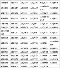 Figure GDA0003164359190000211