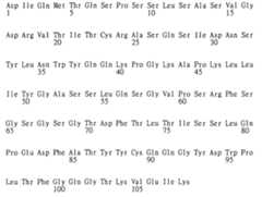 Figure 104119686-A0202-12-0246-380