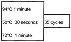 Figure imgf000124_0001