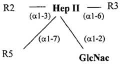 Figure imgf000058_0001