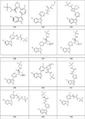 Figure FDA0000106649170000201