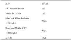 Figure BDA0002608191370000072