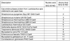 Figure imgf000009_0001
